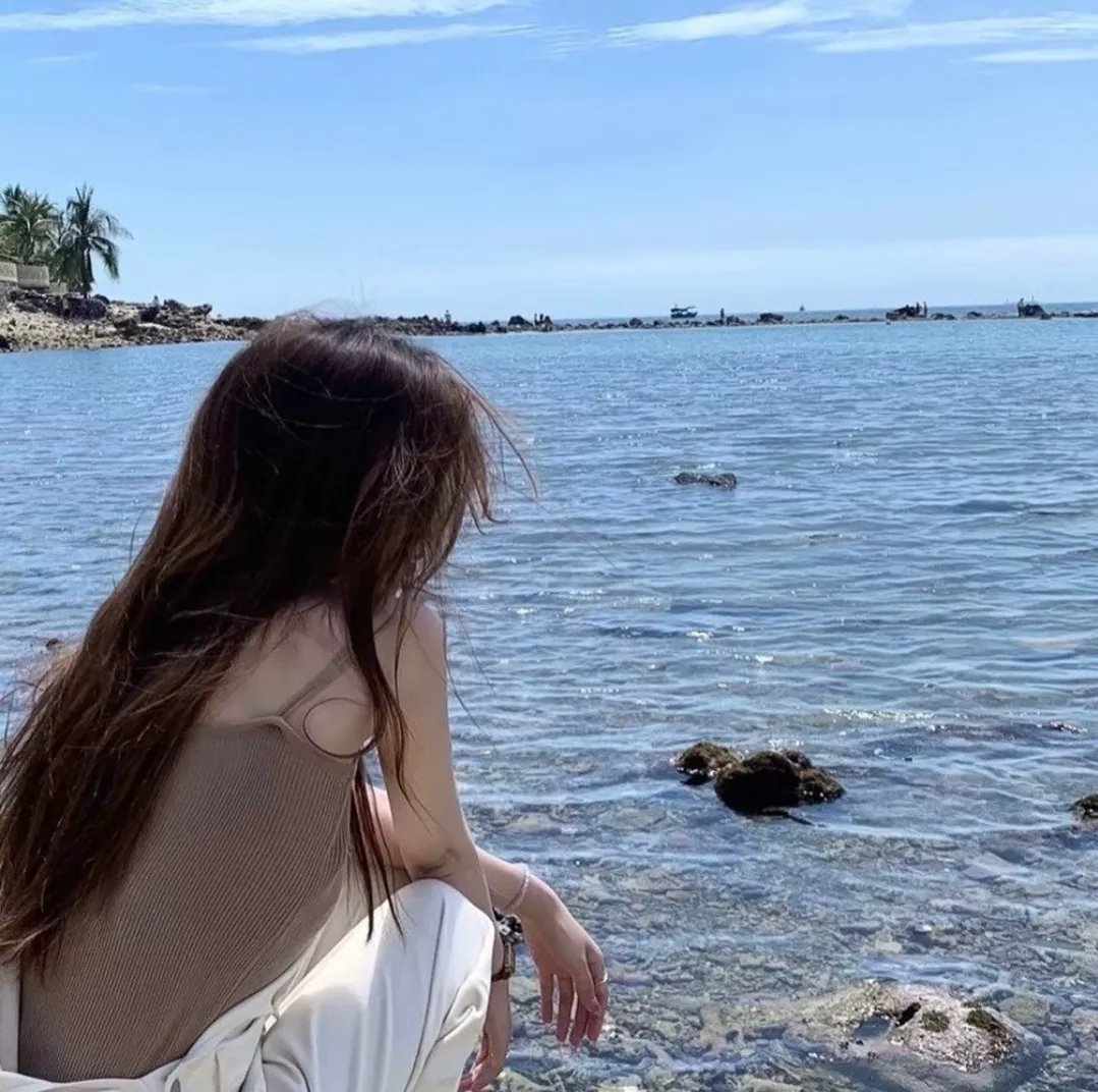 半岛重逢 海报